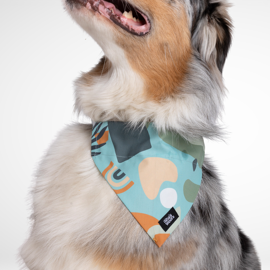 #kolekcija_groovy-vice