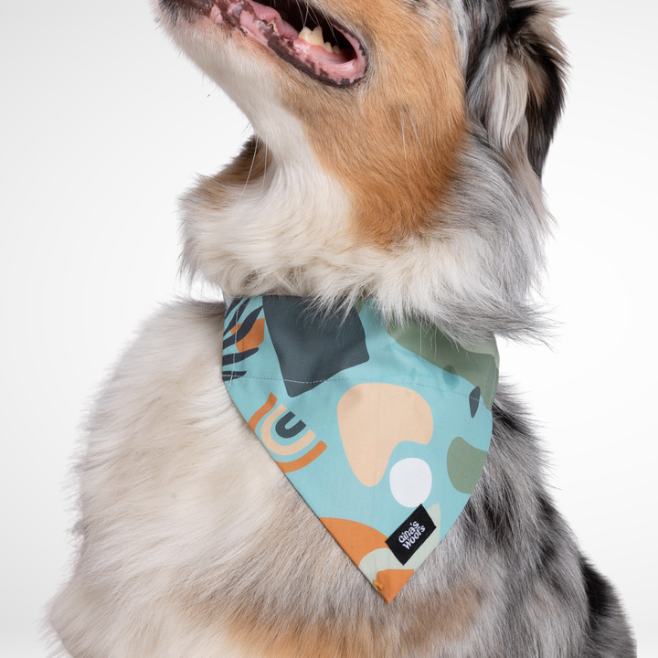 #kolekcija_groovy-vice