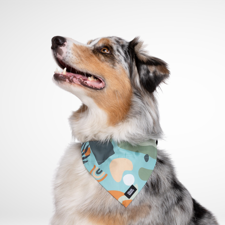 #kolekcija_groovy-vice