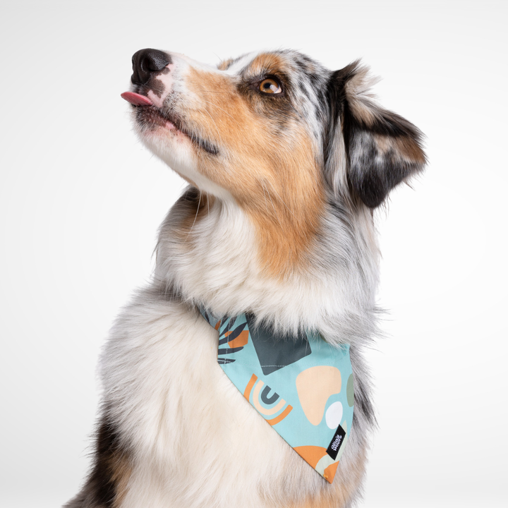 #kolekcija_groovy-vice