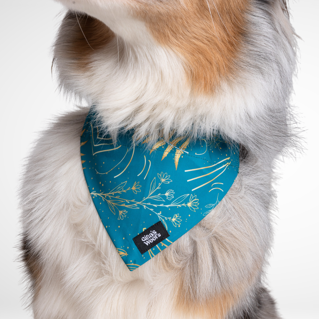 #kolekcija_fern-blue