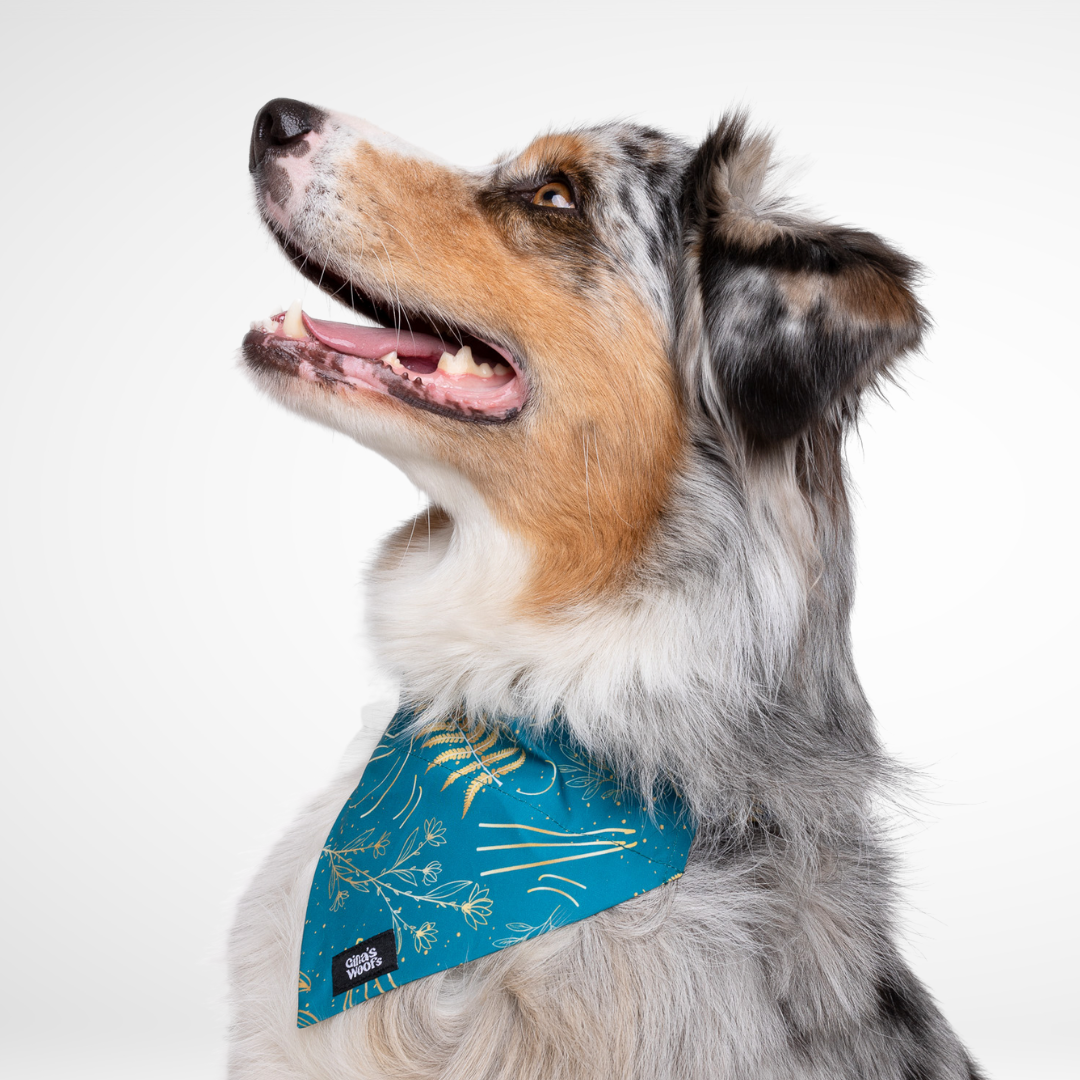 #kolekcija_fern-blue