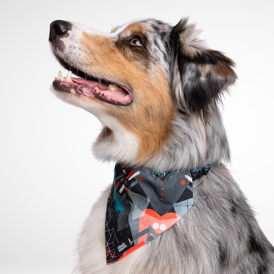 #kolekcija_motion-stride