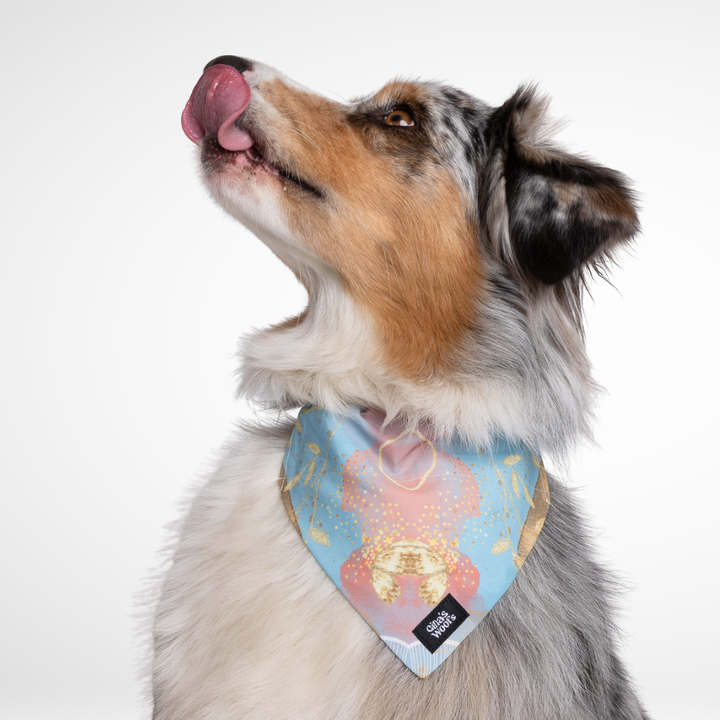 #kolekcija_rosie-blush