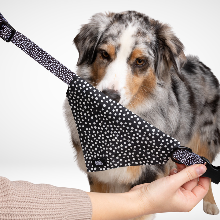 #kolekcija_dots-and-spots