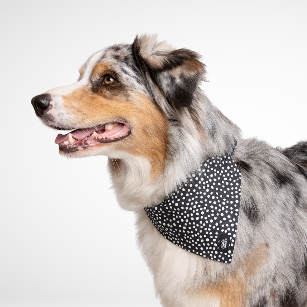 #kolekcija_dots-and-spots