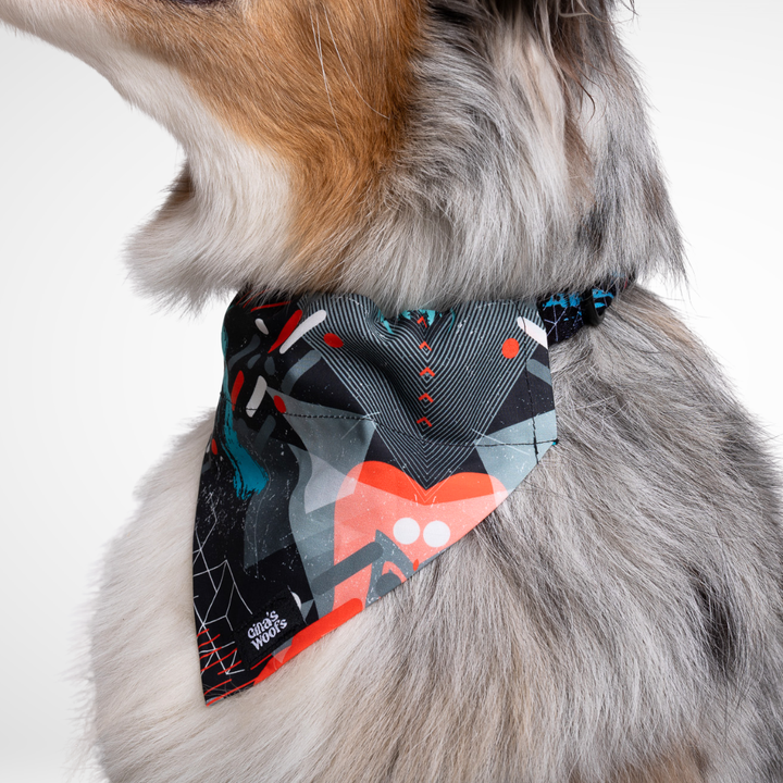 #kolekcija_motion-stride