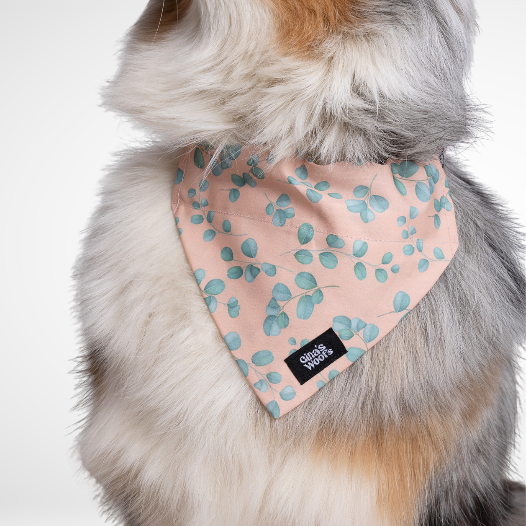 #kolekcija_eucalyptica