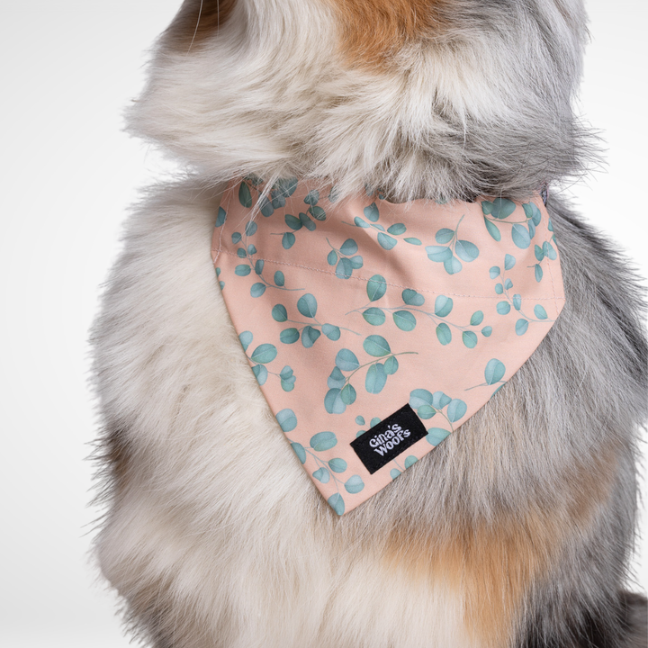 #kolekcija_eucalyptica