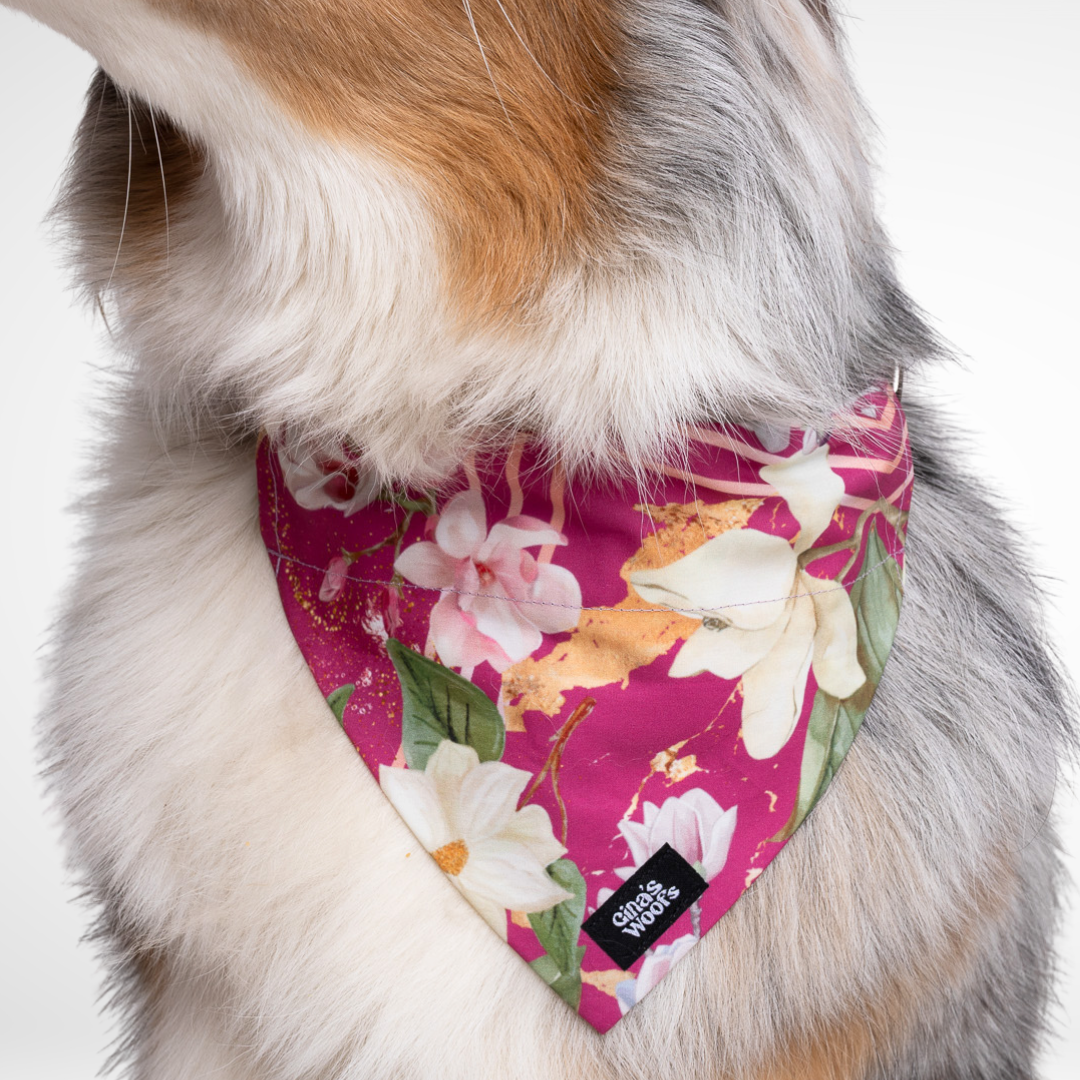 #kolekcija_magnolia-blossom