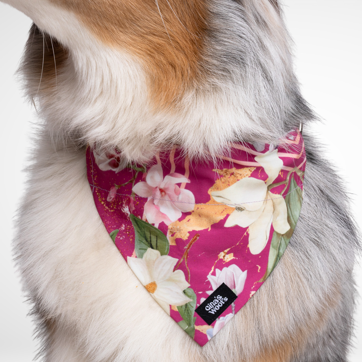 #kolekcija_magnolia-blossom