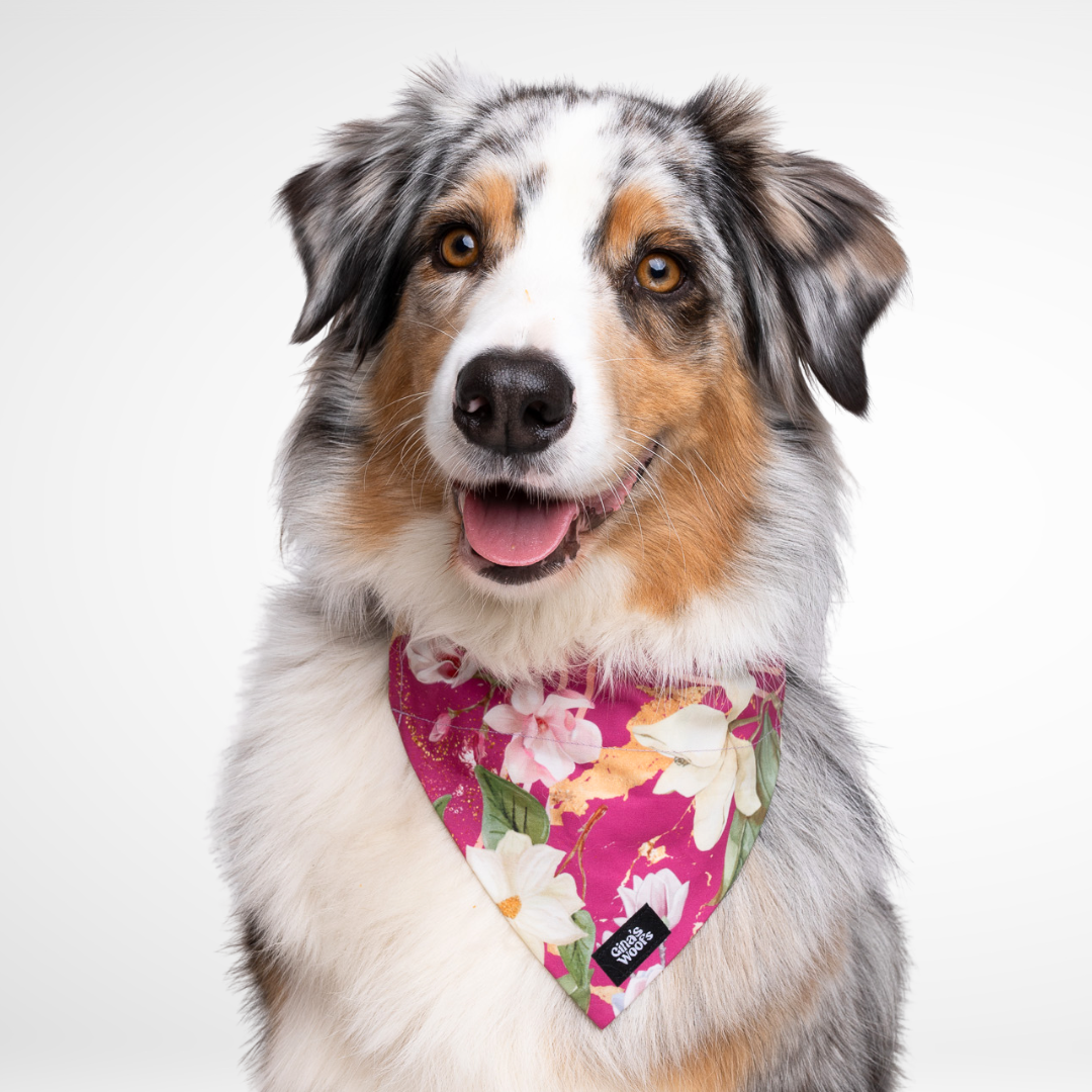 #kolekcija_magnolia-blossom