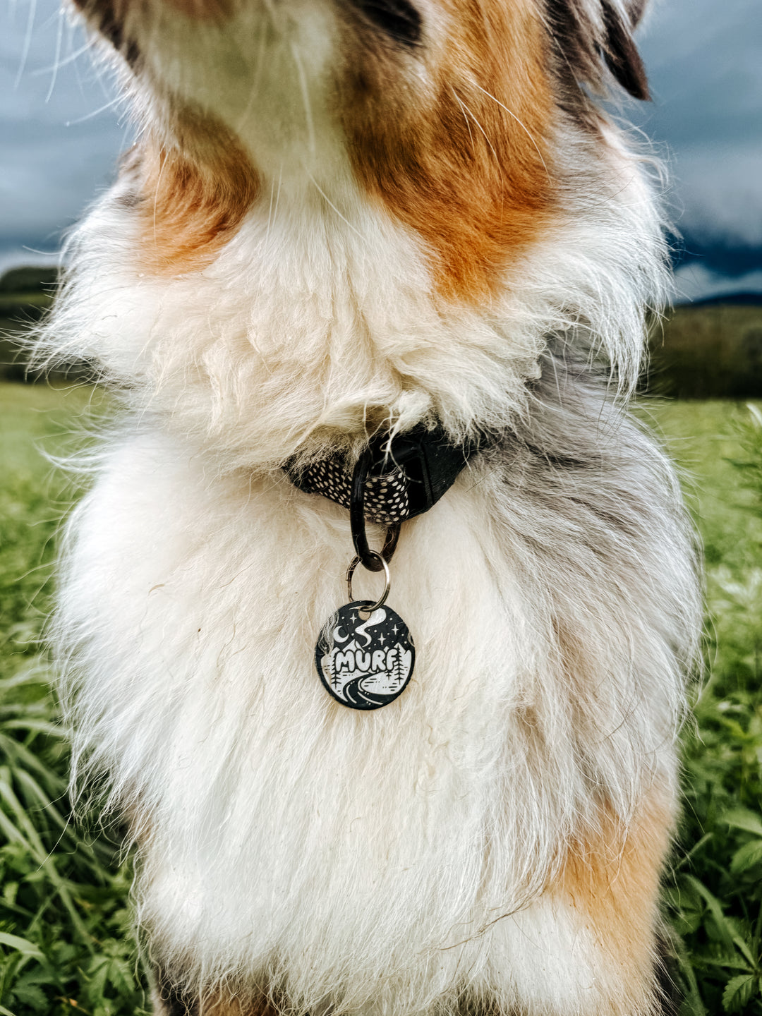 Privjesak za identifikaciju - KRUG