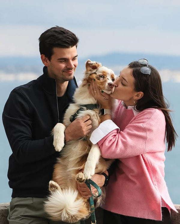 Lara, Matic in avstralska ovčarka Coco