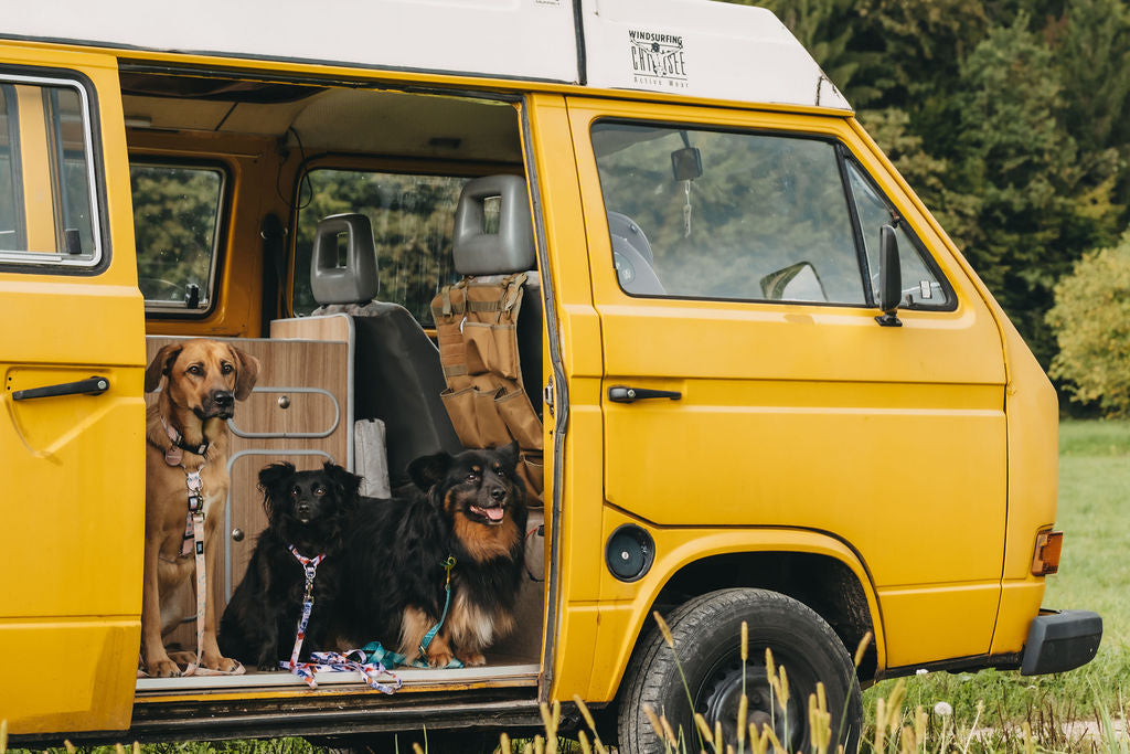 #kolekcija_purple-edge