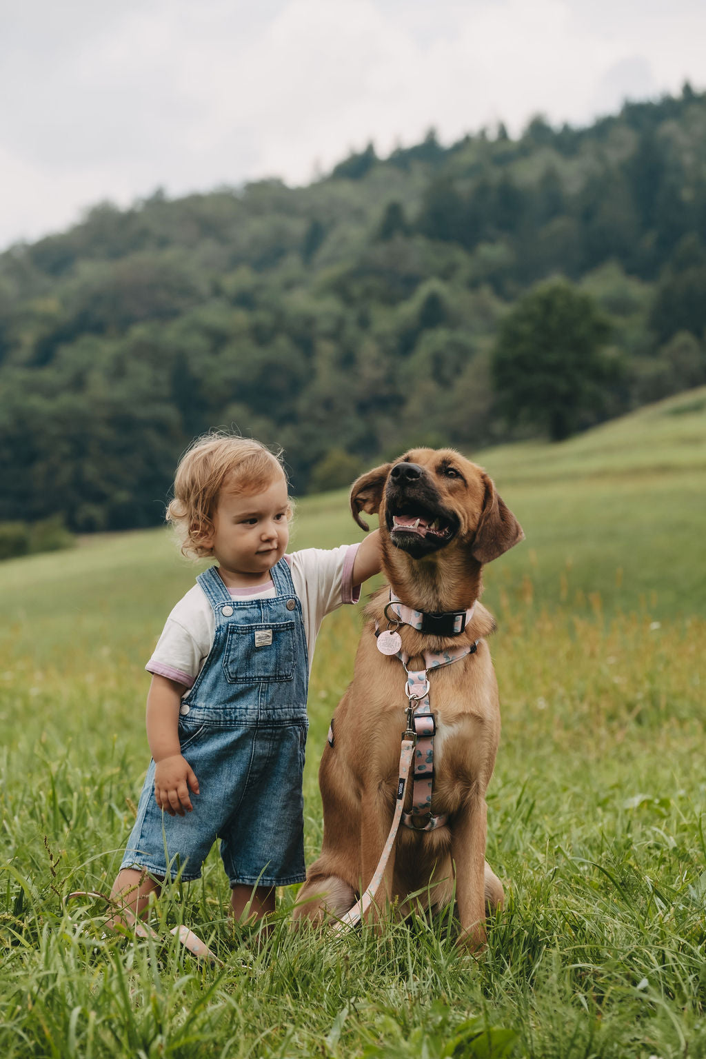 #kolekcija_eucalyptica