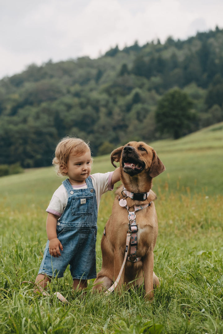 #kolekcija_eucalyptica