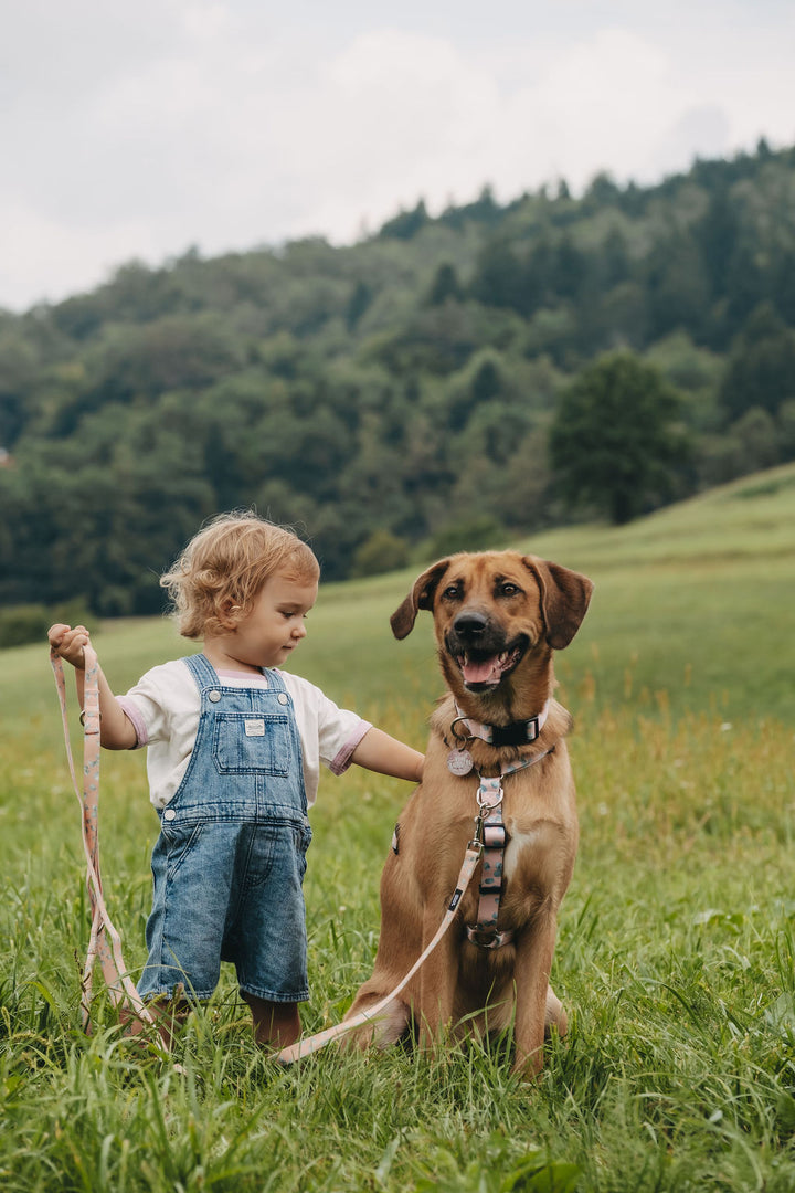 #kolekcija_eucalyptica