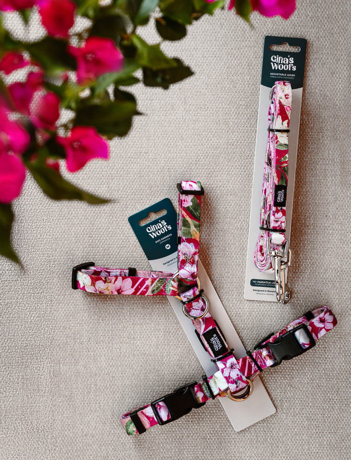 #kolekcija_magnolia-blossom