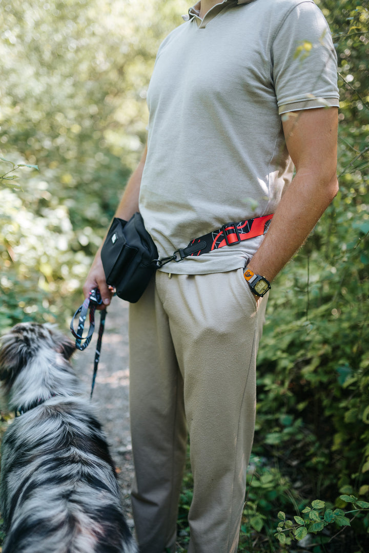 #pas-za-torbico_motion-stride
