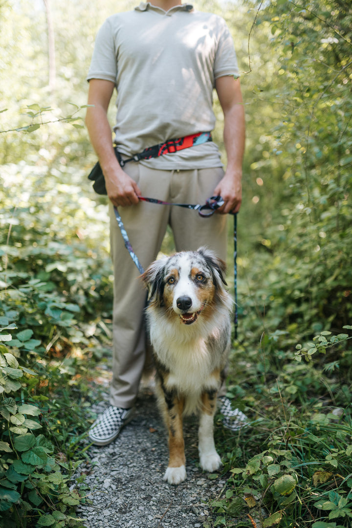 #kolekcija_motion-stride