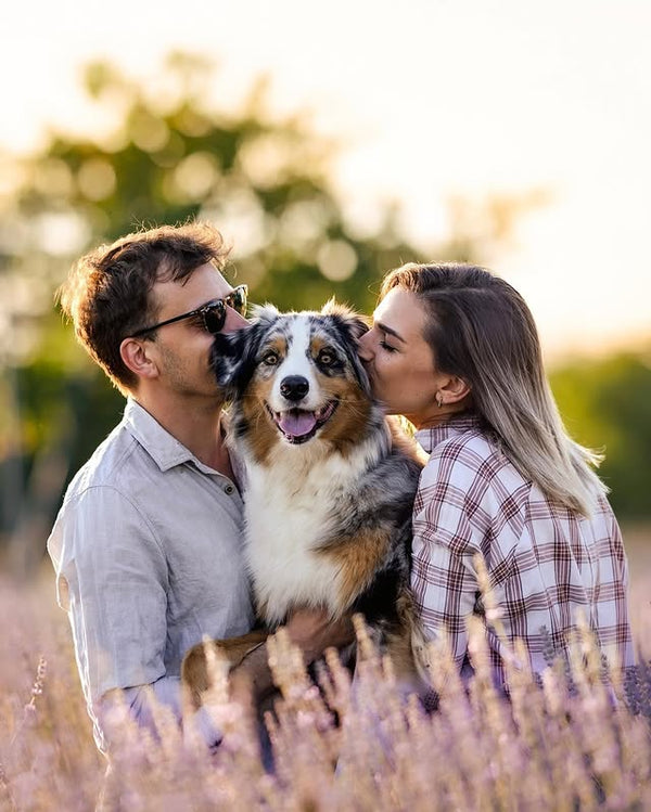 Jana, Matjaž in avstralska ovčarka Murf