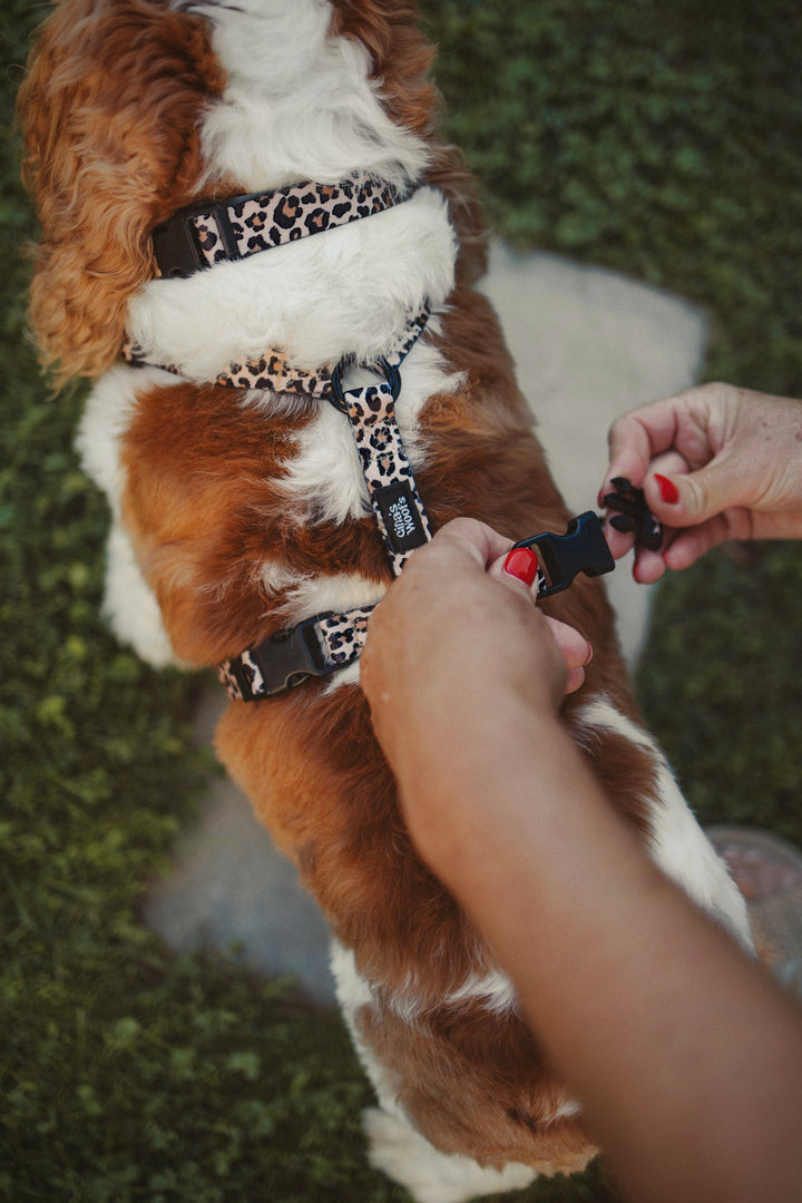 #kolekcija_wild-savanna