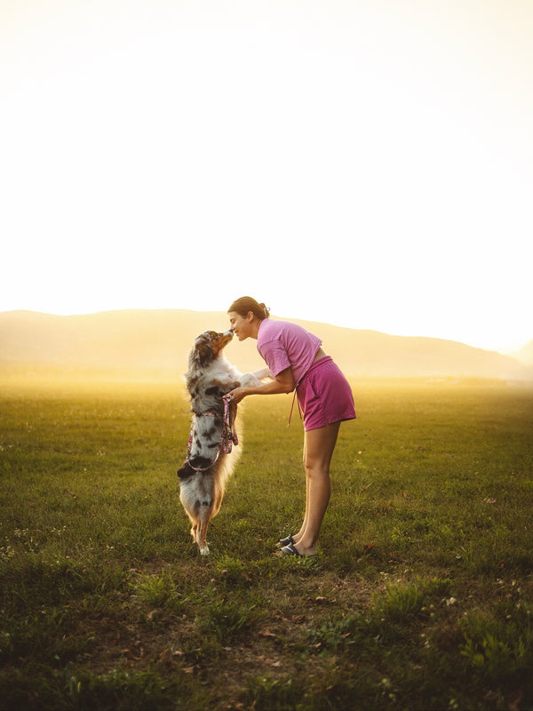 Katja in avstralska ovčarka Pepa