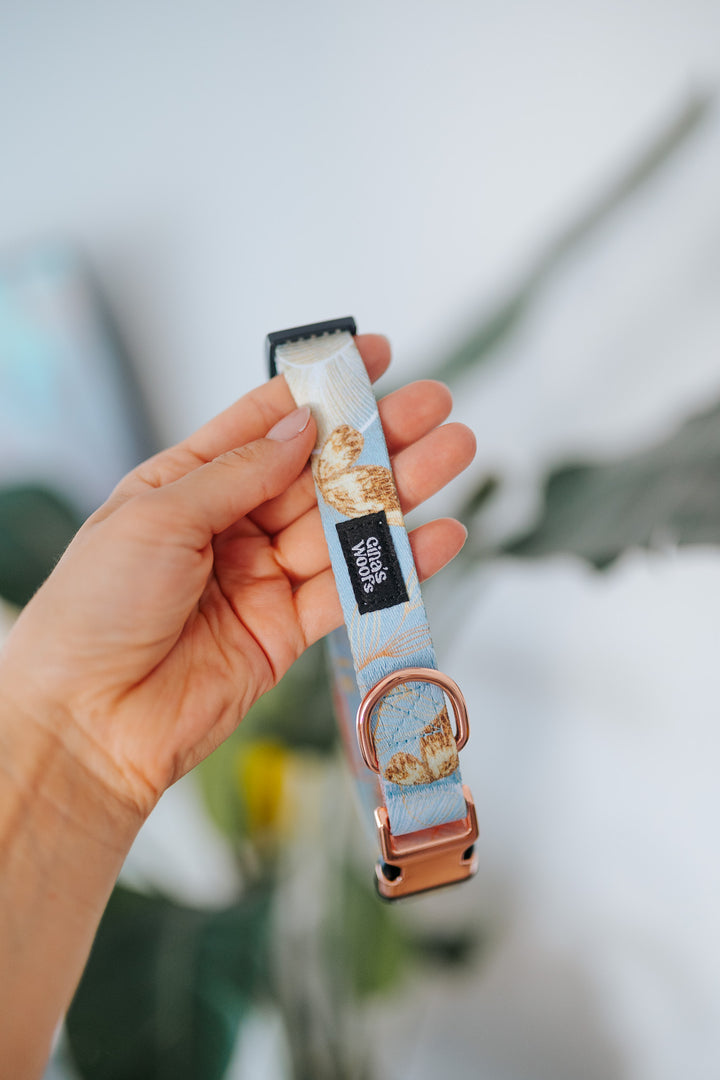 #kolekcija_rosie-blush