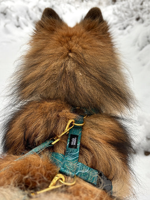 #kolekcija_golden-woods