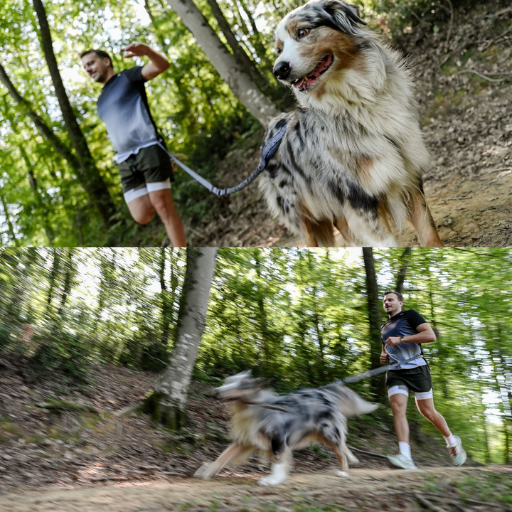Športni elastični povodec Move2