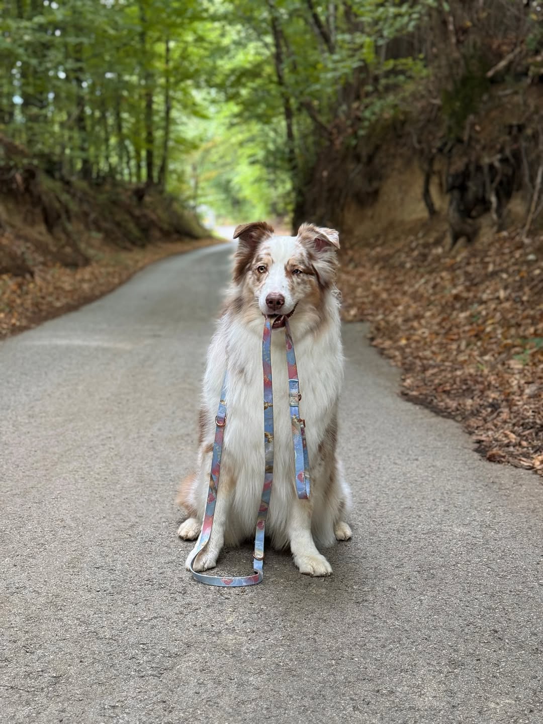 #kolekcija_rosie-blush