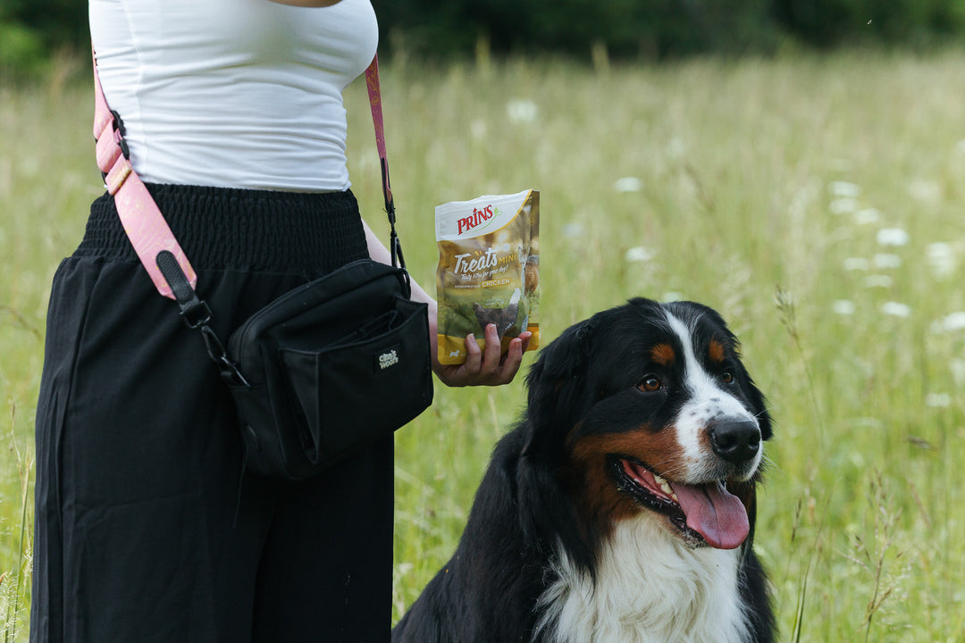 #pas-za-torbico_fern-pink