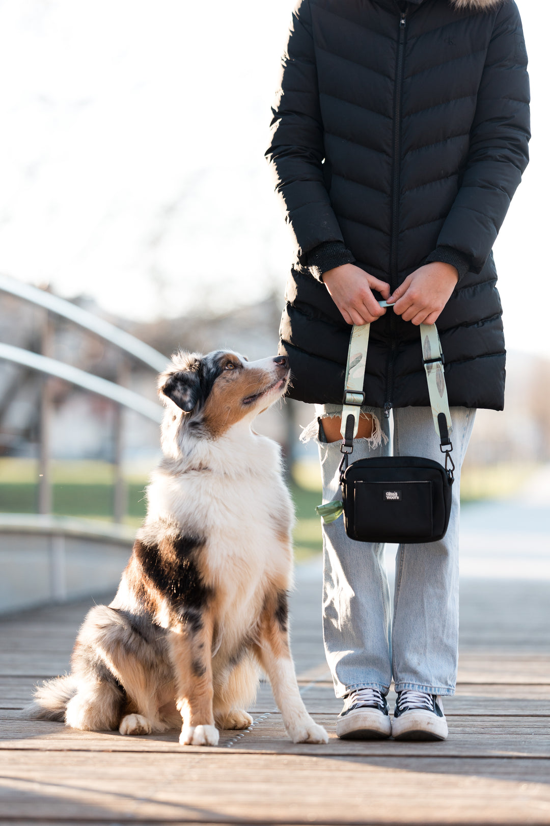 #pas-za-torbico_fever-fetch